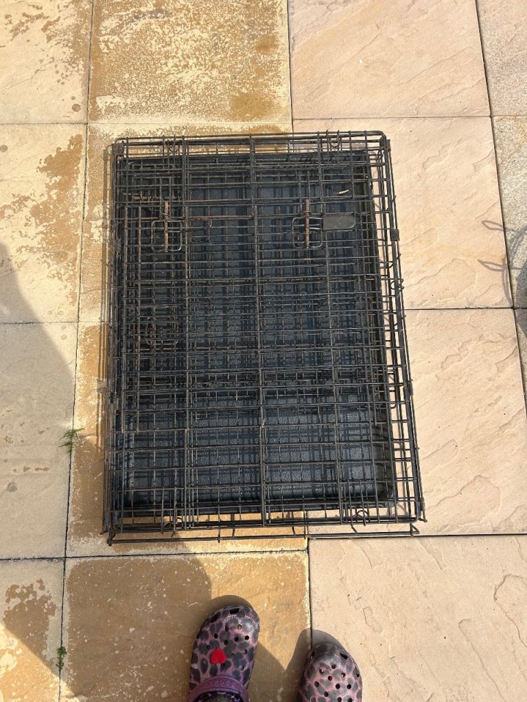 Large dog crate 