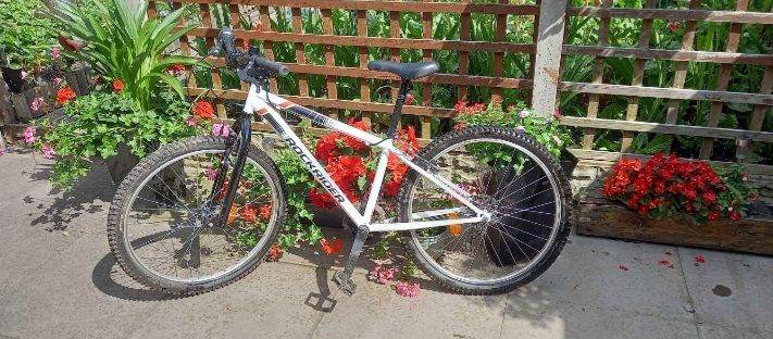 Rockrider Mountain Bike – White, Good Condition