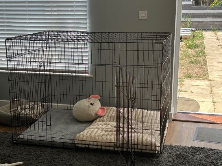 Cage