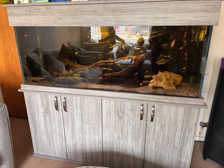 Fish tank 