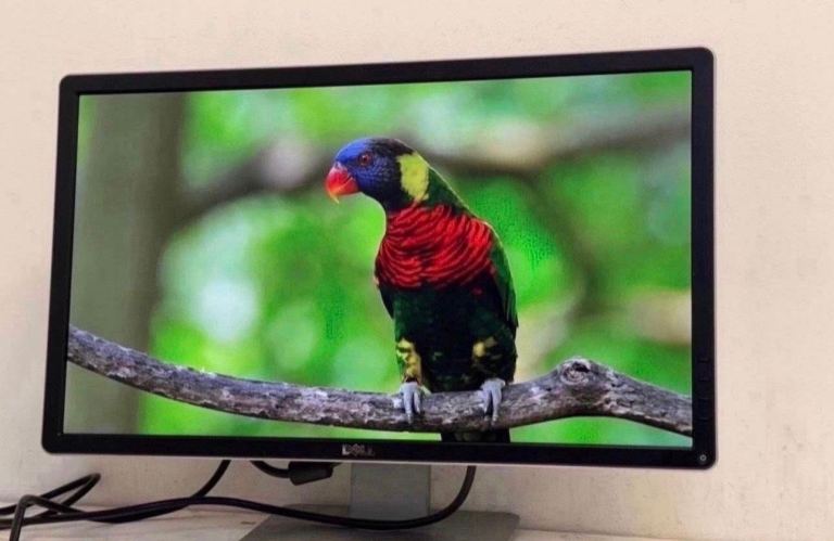 Dell 24” Monitor   Full Hd 1080P led monitor   Display Port Dvi Vga   Good condition
