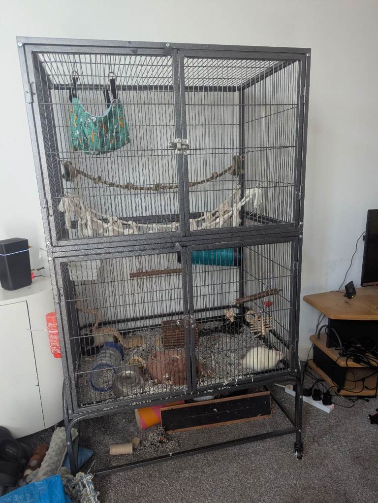 Large rat cage