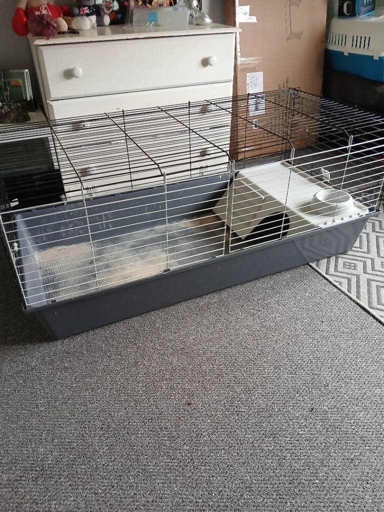 Rabbit cage