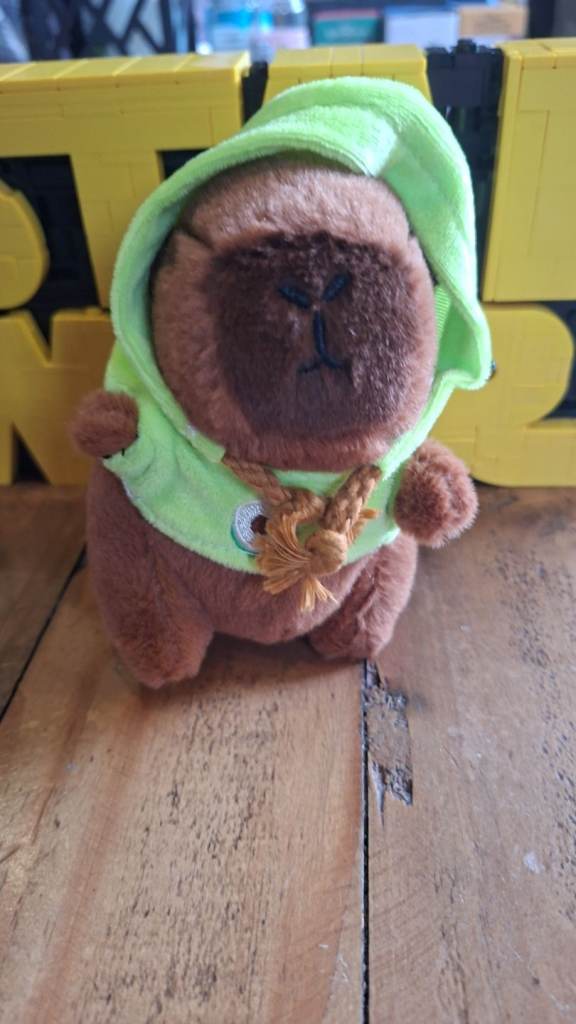 Capybara Small Plush Teddy Bear