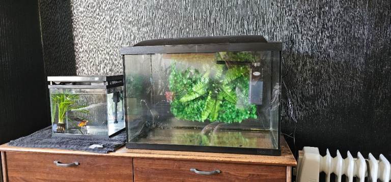 60L Glass tank