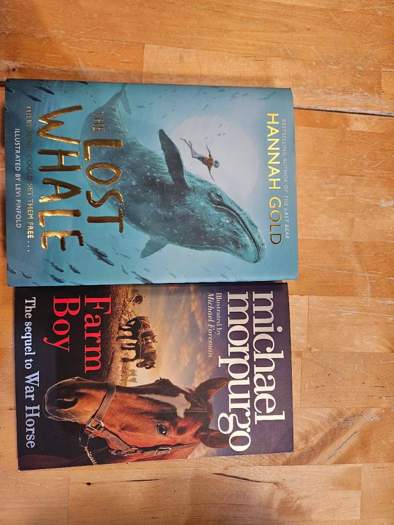 Hannah Gold 'The Lost Whale' Hardback Children's Book – plus michael morpurgo farm boy new Condition