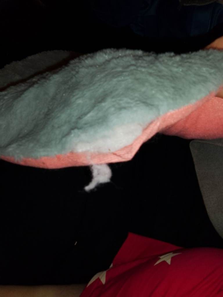 Shark cat beds like new