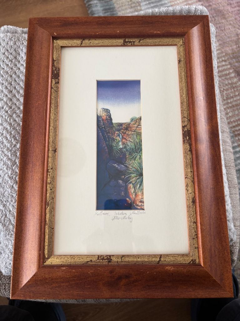 Linda Mac Aulay Kalgari Western Australia Painting in Wood Frame