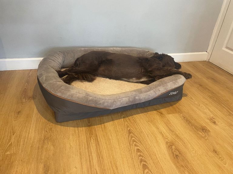 Joyelf dog bed