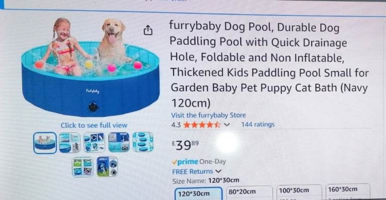 Dog Pool