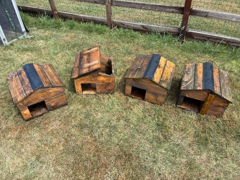 Bird house 