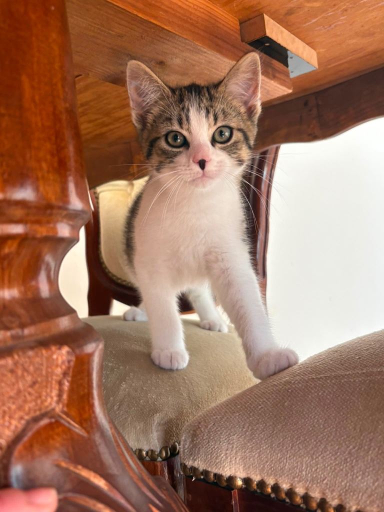 1 gorgeous boy left 