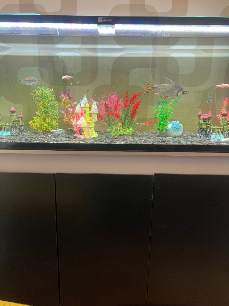 Aquaone fish tank 4 ft