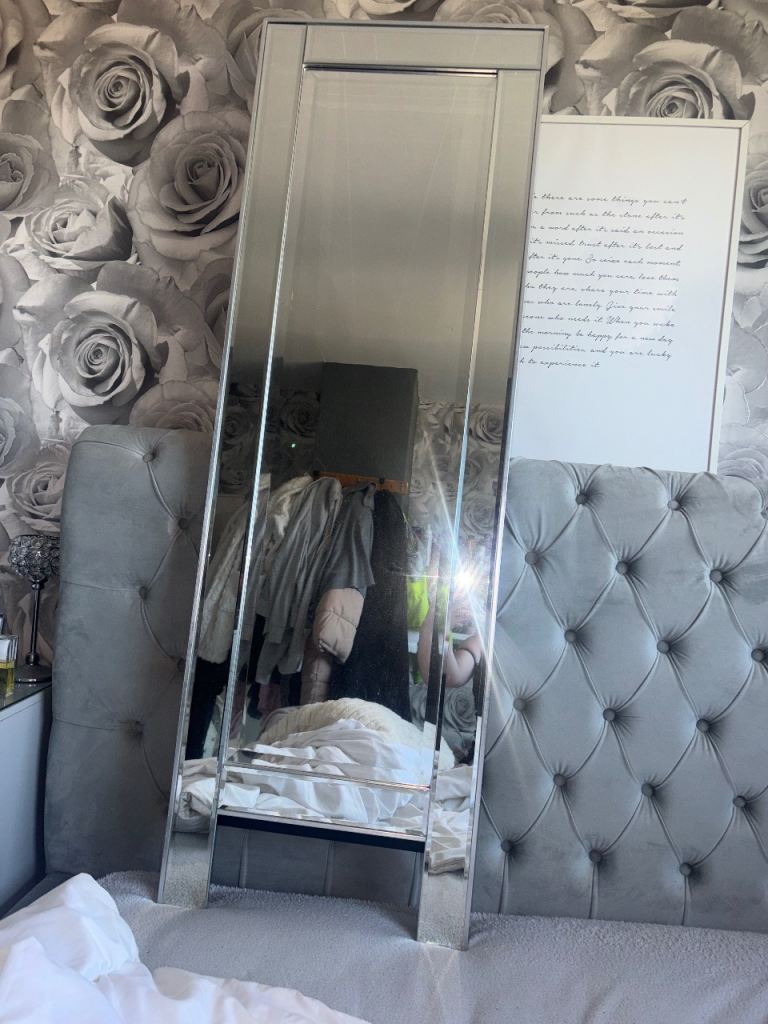 Tall Mirrored Full-Length Mirror – Good Condition