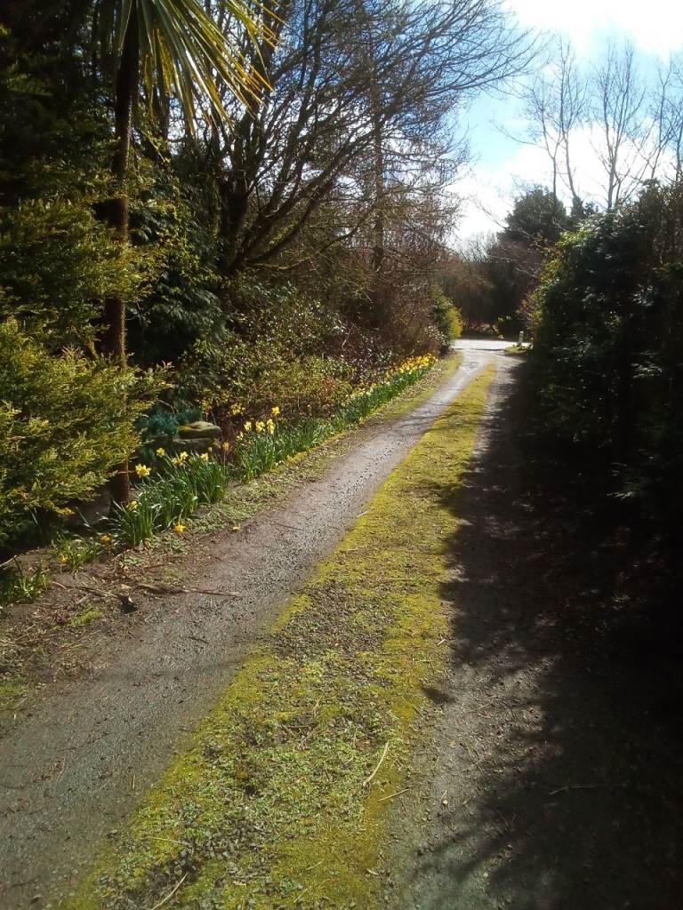 Holiday static caravan