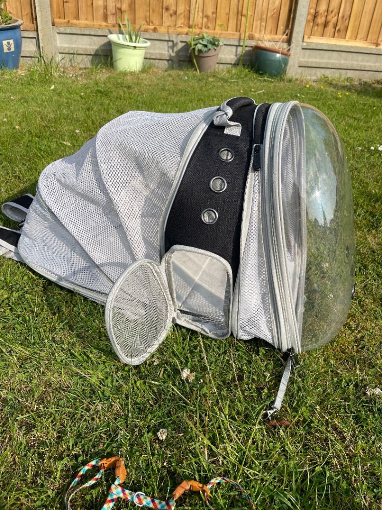  Pet Carrier Backpack – Space Capsule Design + FREE Gifts 🐾