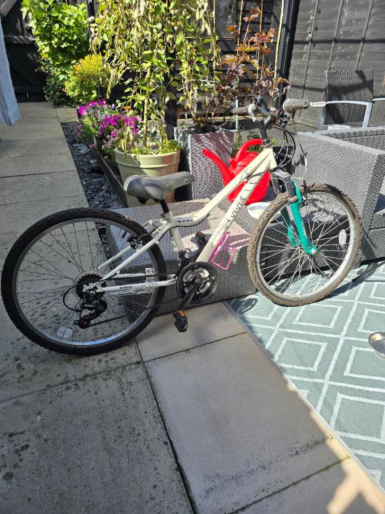 Girls' Bicycle – Good Condition