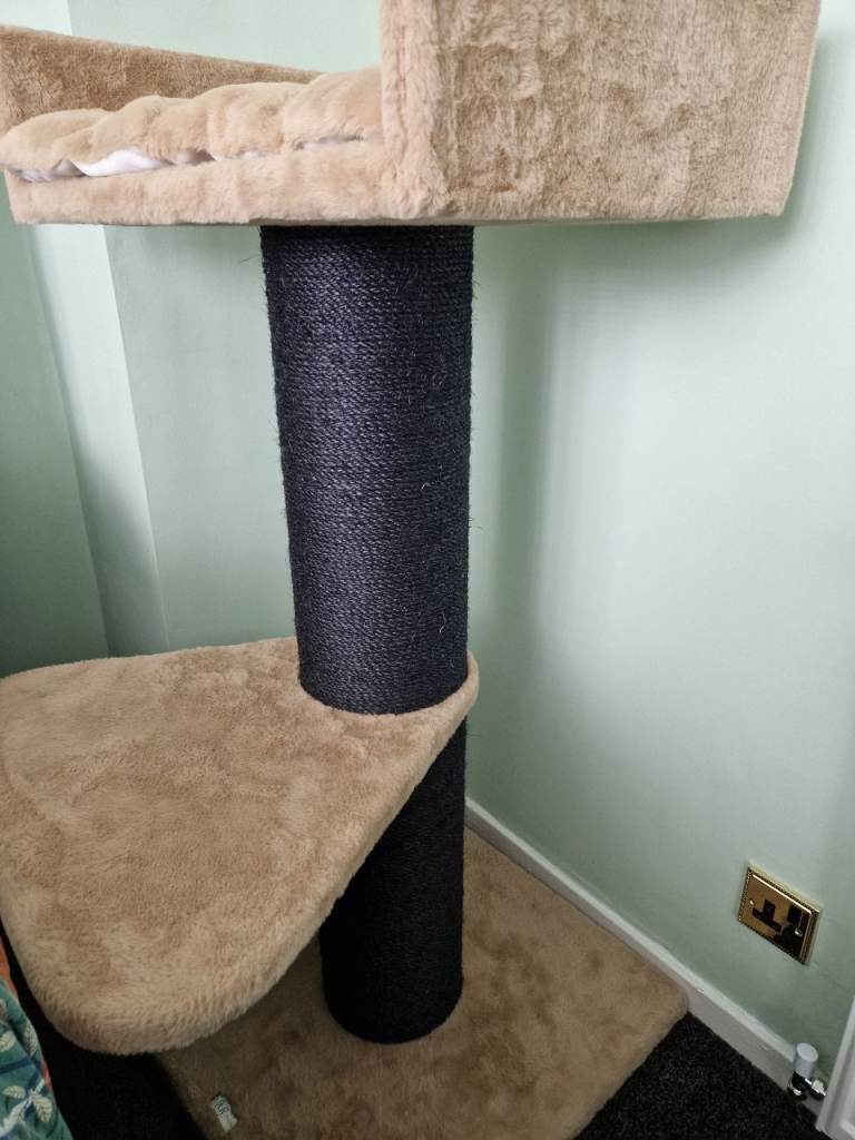 Large cat bed