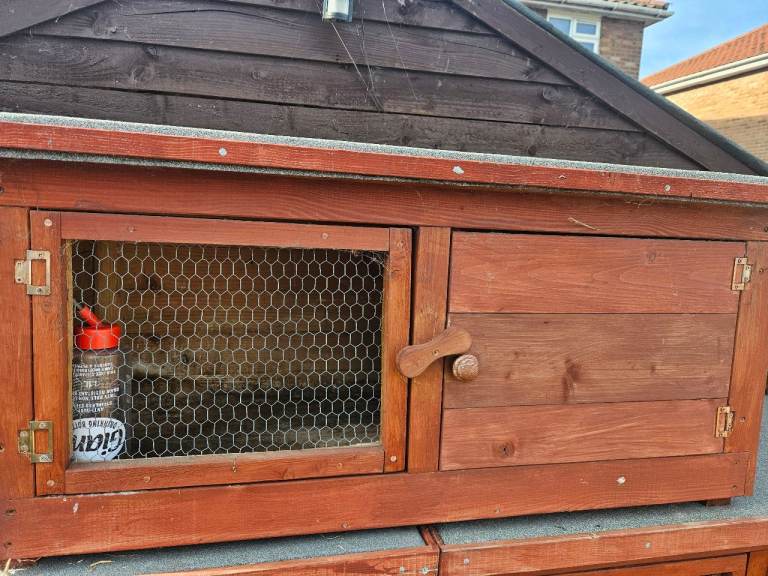 Rabbit hutch and water bottle