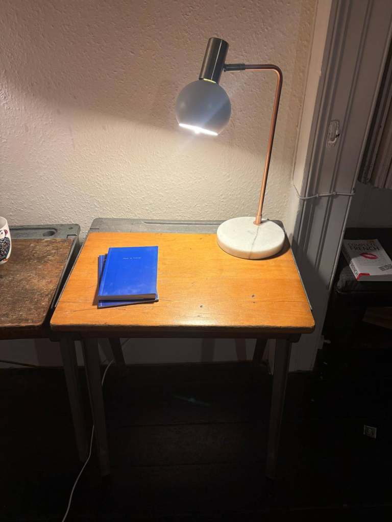 image for Vintage 1950s ESAVIAN school desk with hinged lid in light wood with metal frame