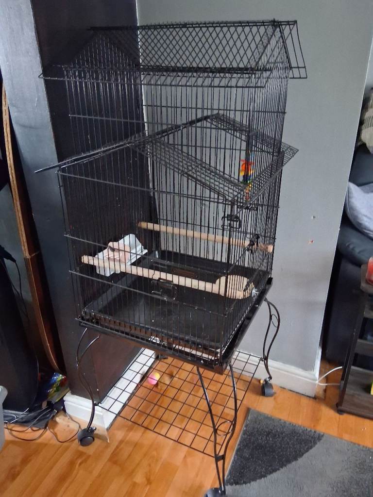 Bird cage