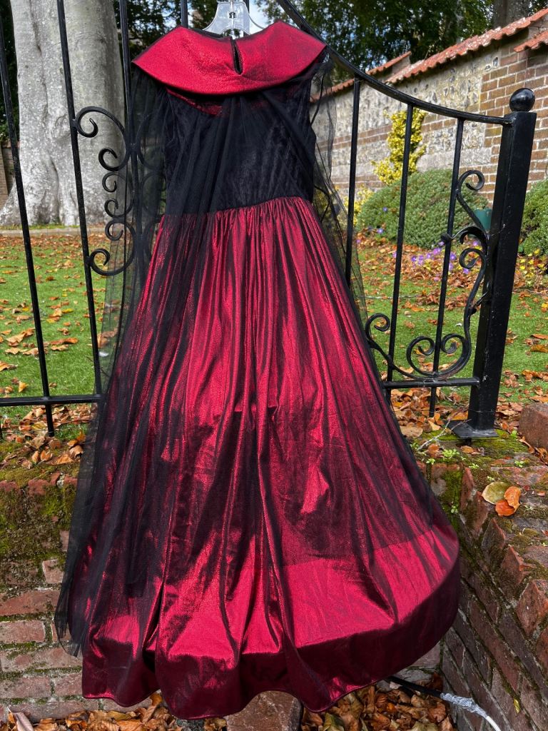 Halloween Outfit/Fancy Dress Aged 9-10 years