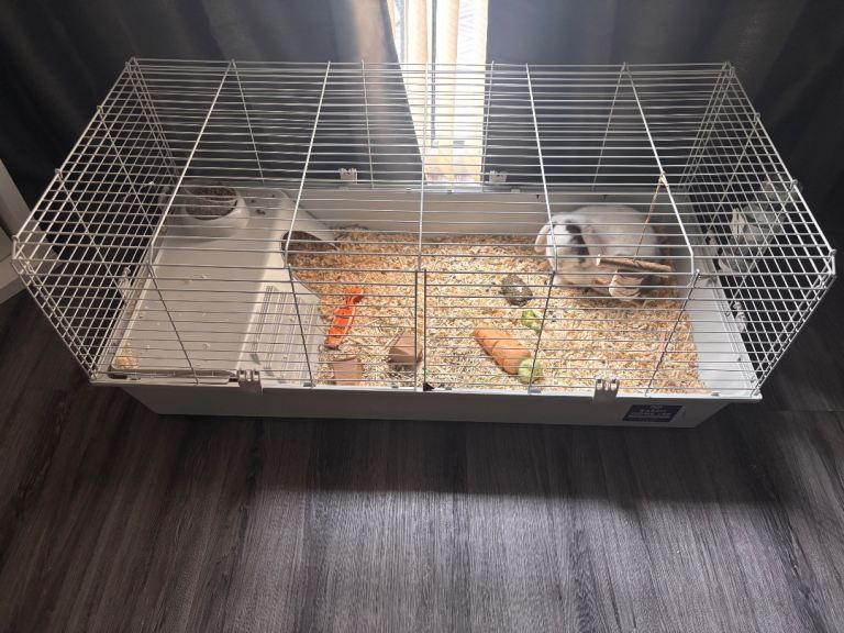 Rabbit cage