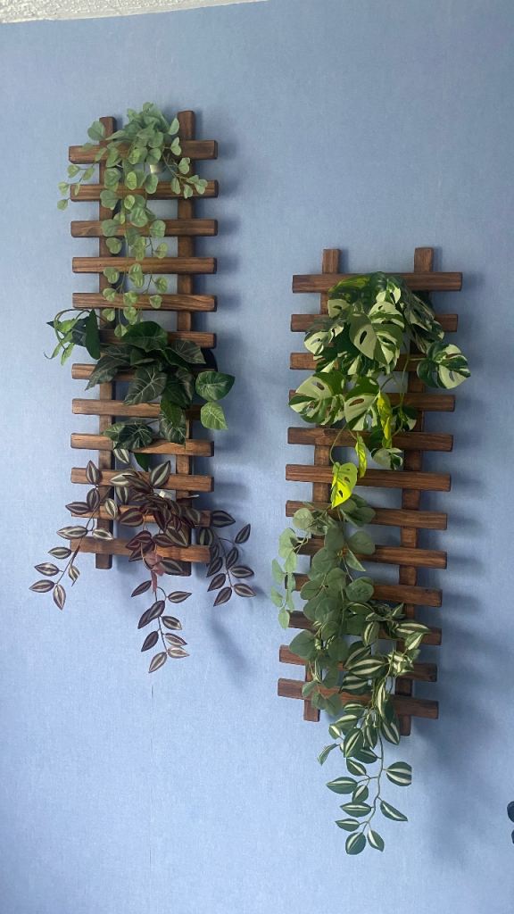 Decor plants
