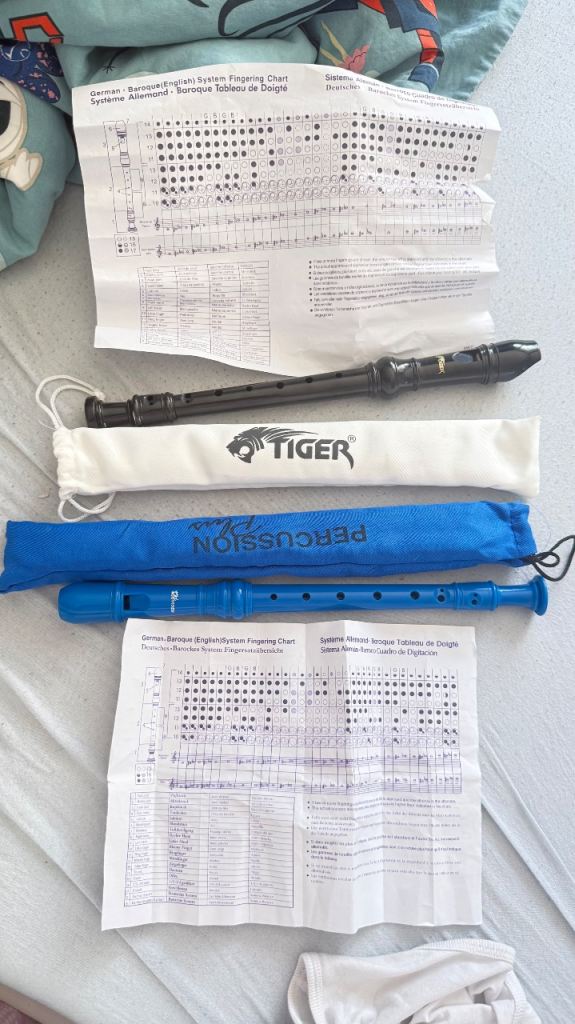 Tiger Recorders – Black and Blue, Good Condition