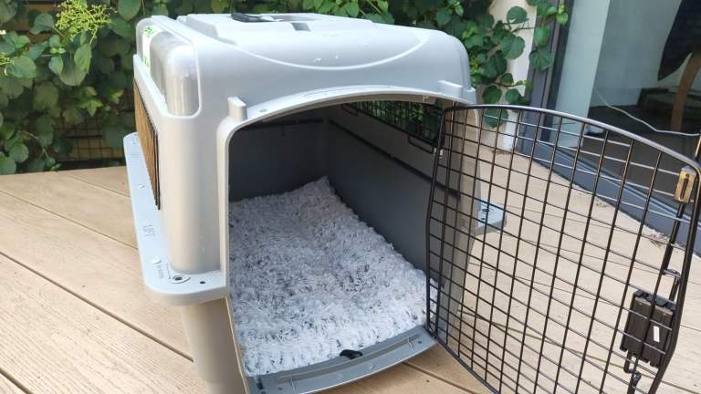 Large pet carrier