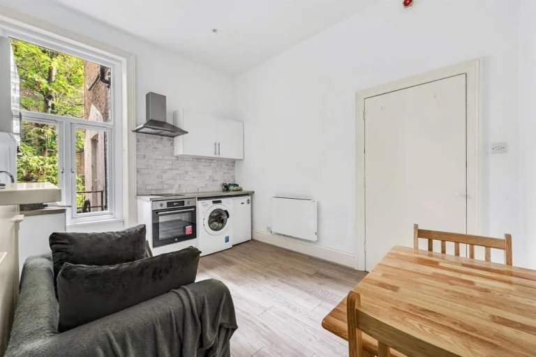 Converted Ground 1 Bed Garden Flat Open Plan Door To Garden EPC C Council D Very Near Tube Bus Shops