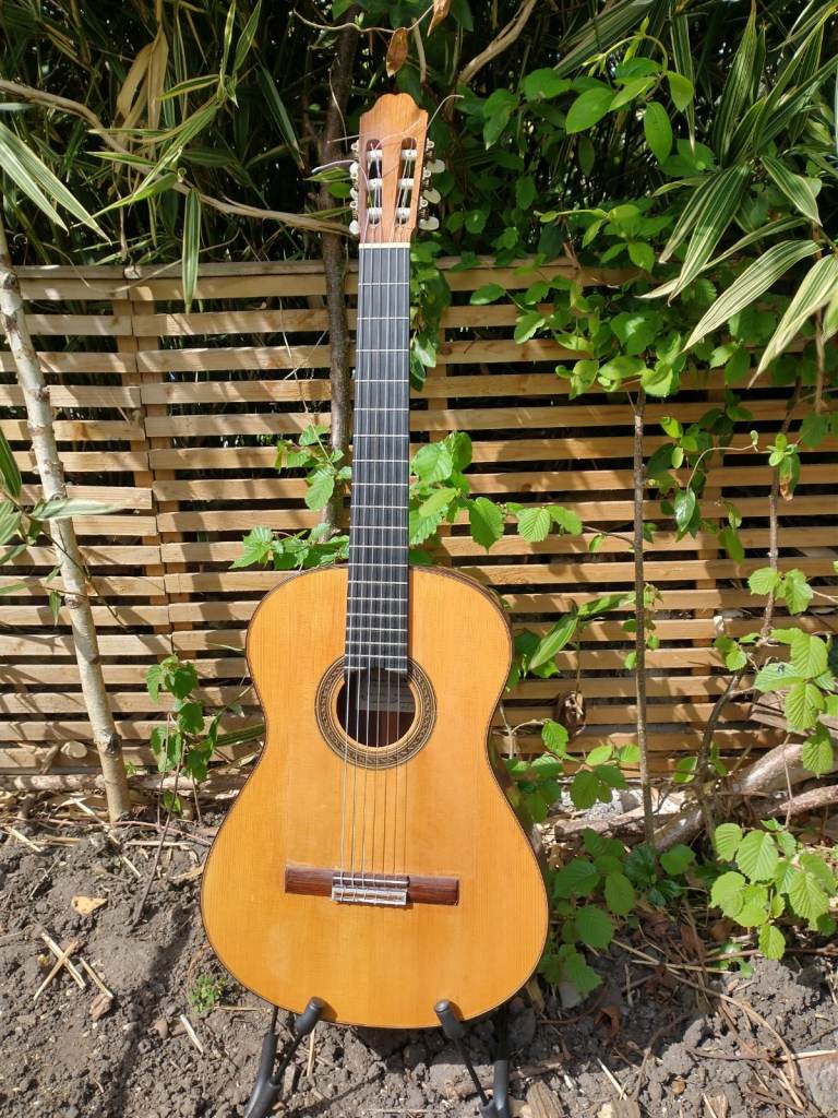 Concert Classical/Flamenco Guitar Spruce/Rosewood 