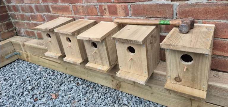 Bird box and planter