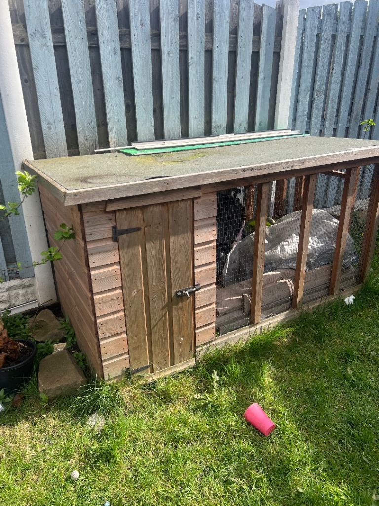 Large outdoor dog kennel 