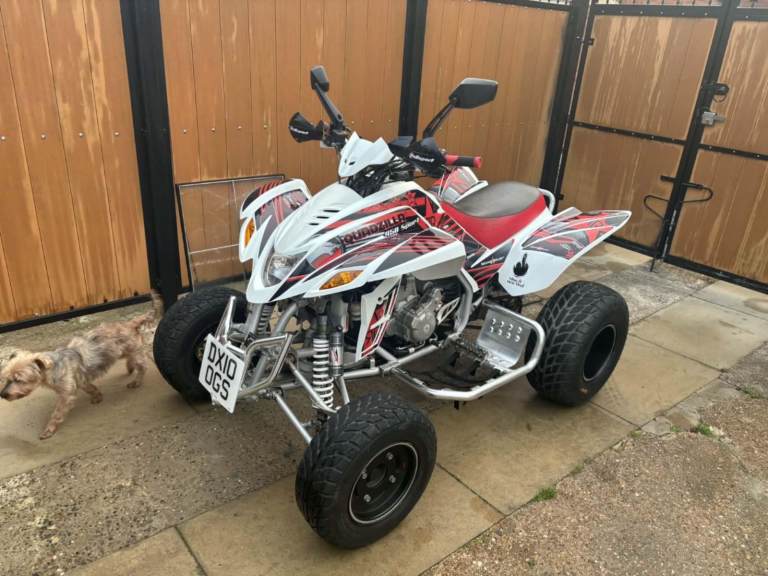 Quadzilla 450cc 