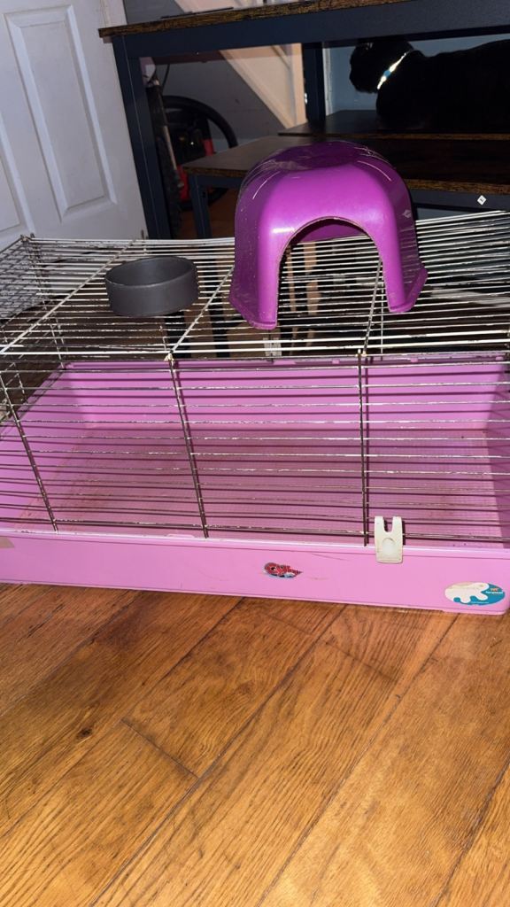 Guinea pig cage 