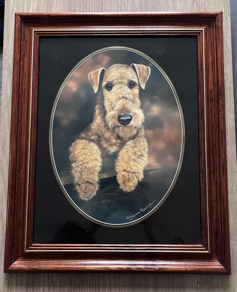 Vintage Pollyanna Pickering Signed And Framed Airedale Terrier Print