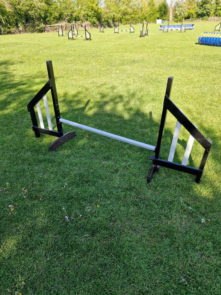 Dog Agility Jumps 