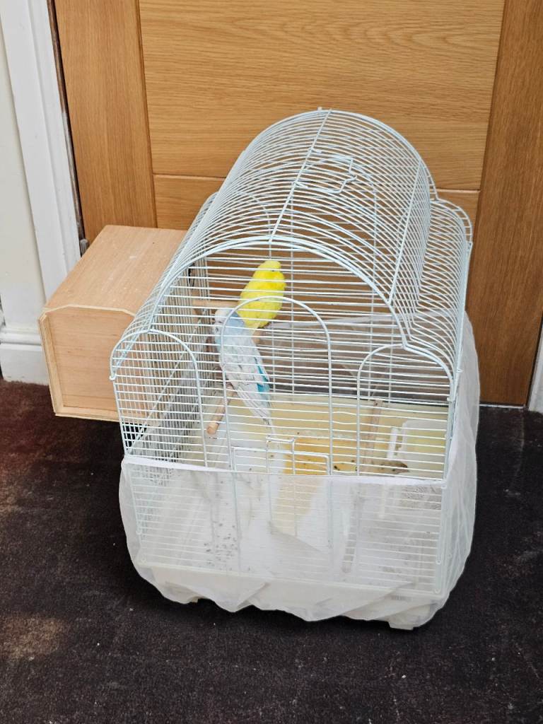 Tamed Budgies Cage
