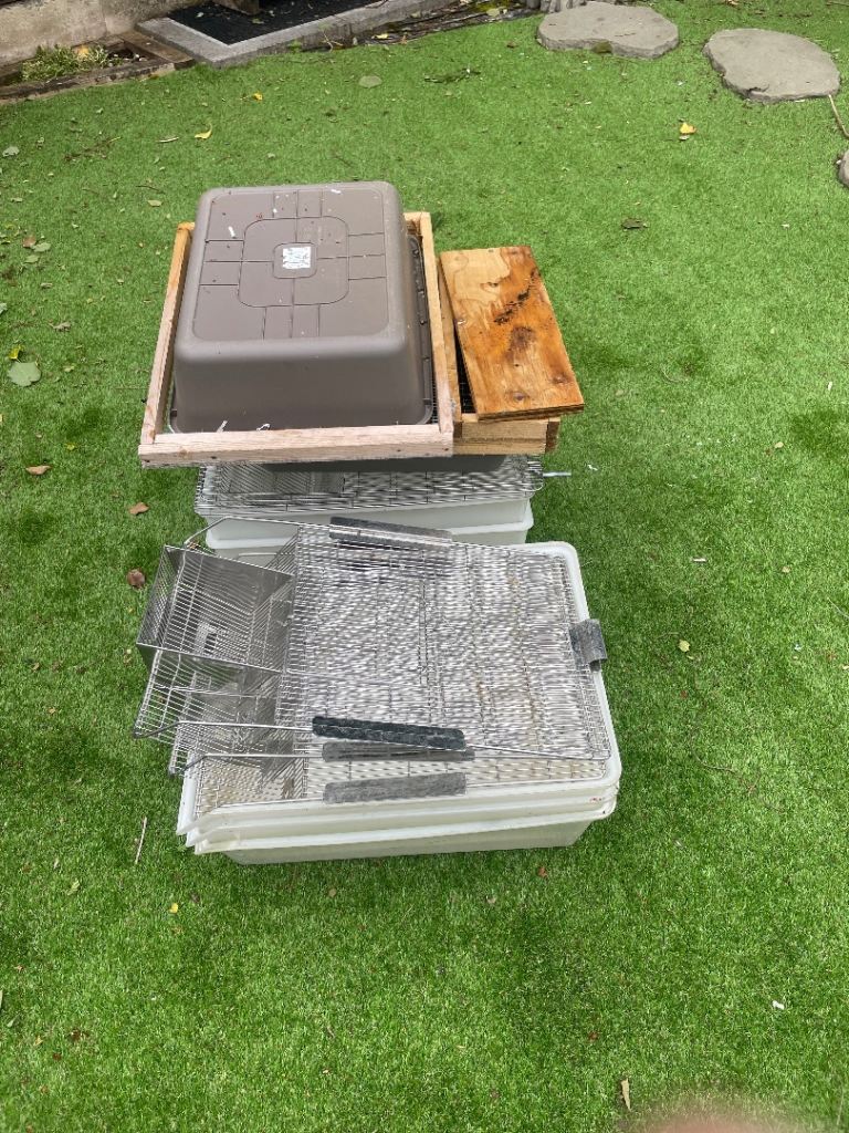 Rat or mouse cages Used