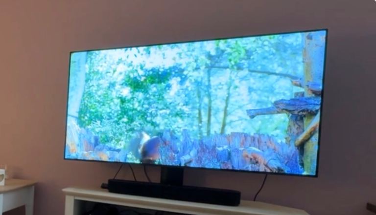 LG B9 OLED 55”, Sonos beam plus two rear speakers. Integrated stand