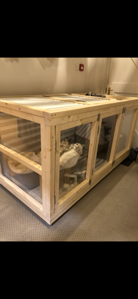 Cat cage 