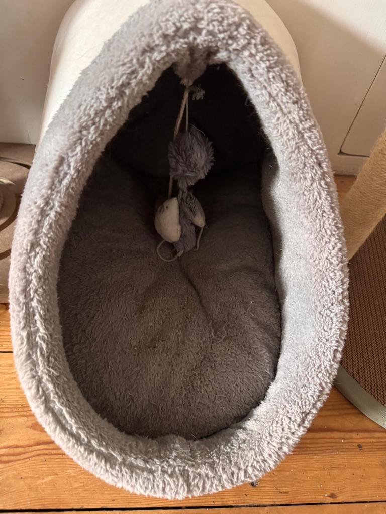 Cat bed 