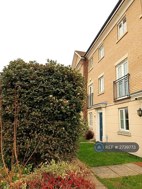 4 bedroom house in Defiant Road, Norwich, NR6 (4 bed) (#2739773)