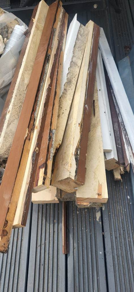 Selection of wood pieces. Free. Collection