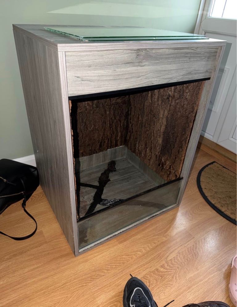 3 Foot Tall Arboreal Reptile Vivarium Glass Lined Cork Bark Background