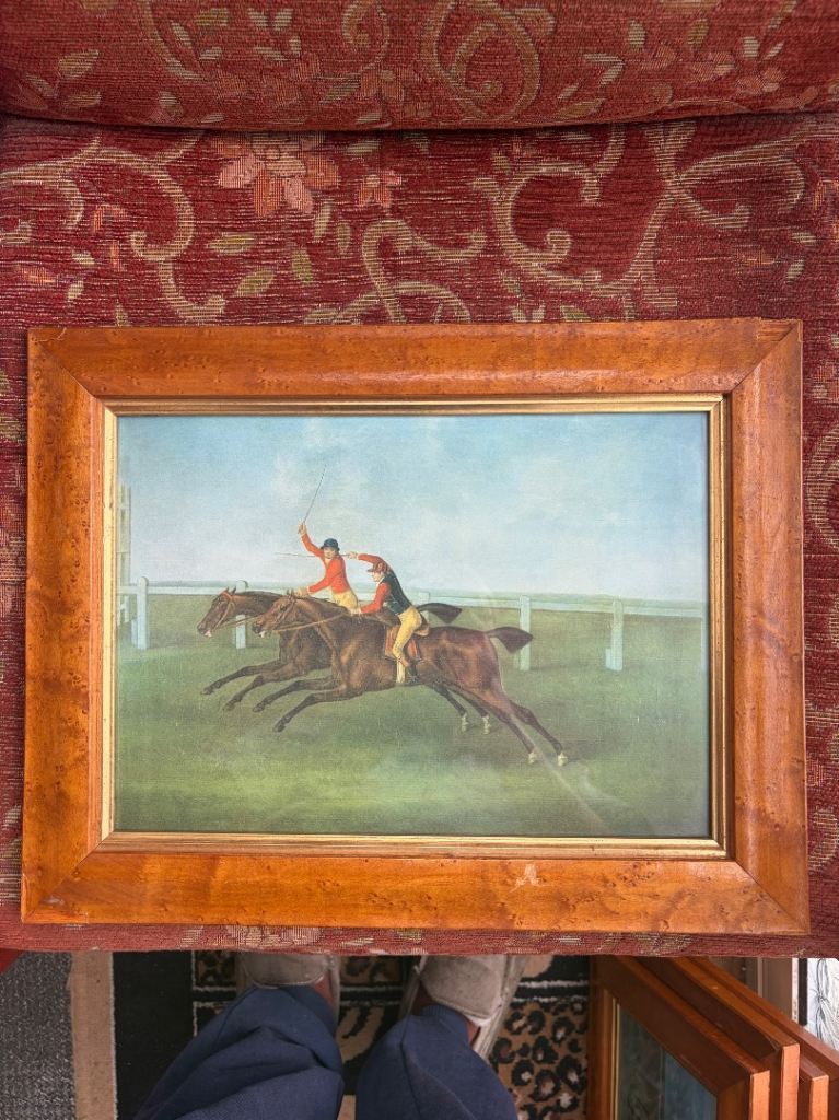 Duncannon thoroughbred horse 