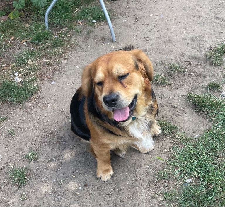 Thomas …. 1 years old 