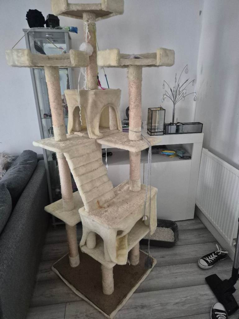 Cat scratch box