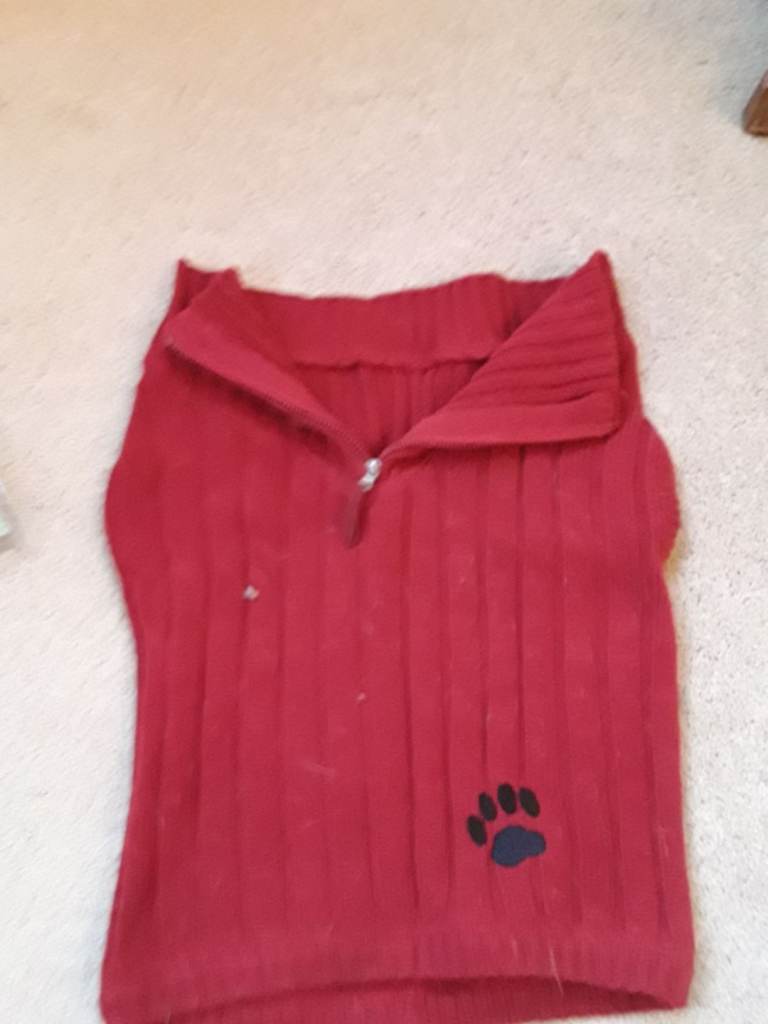 Dog jumper
